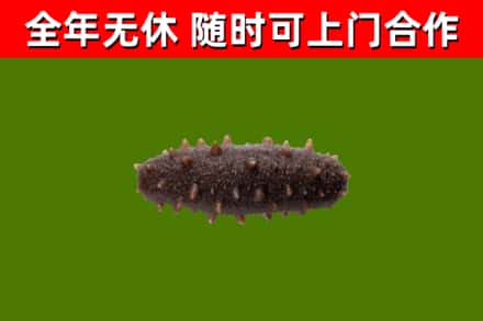 宜都市烟酒回收干海参.jpg